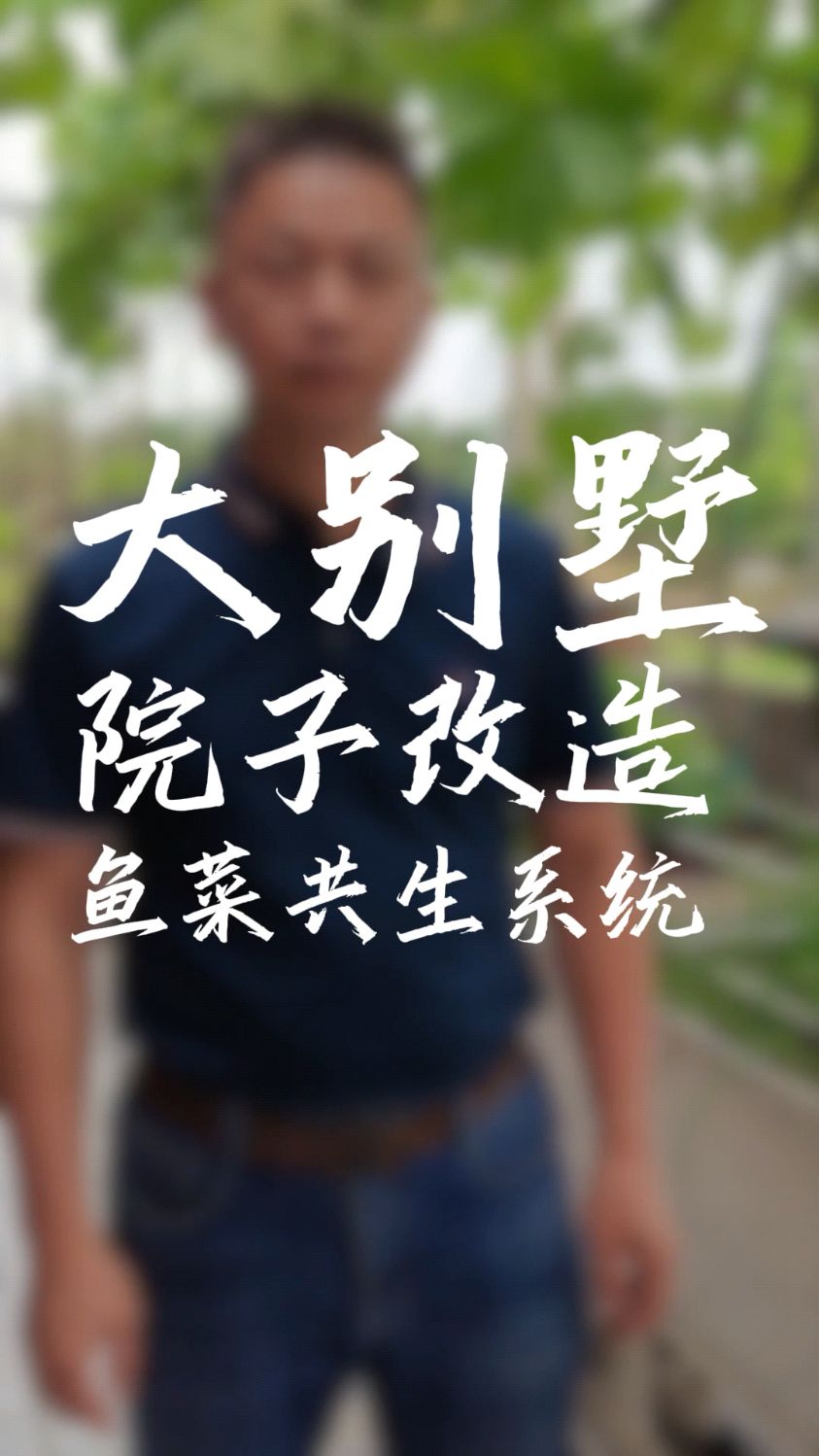 大别墅院子改造成鱼菜共生系统