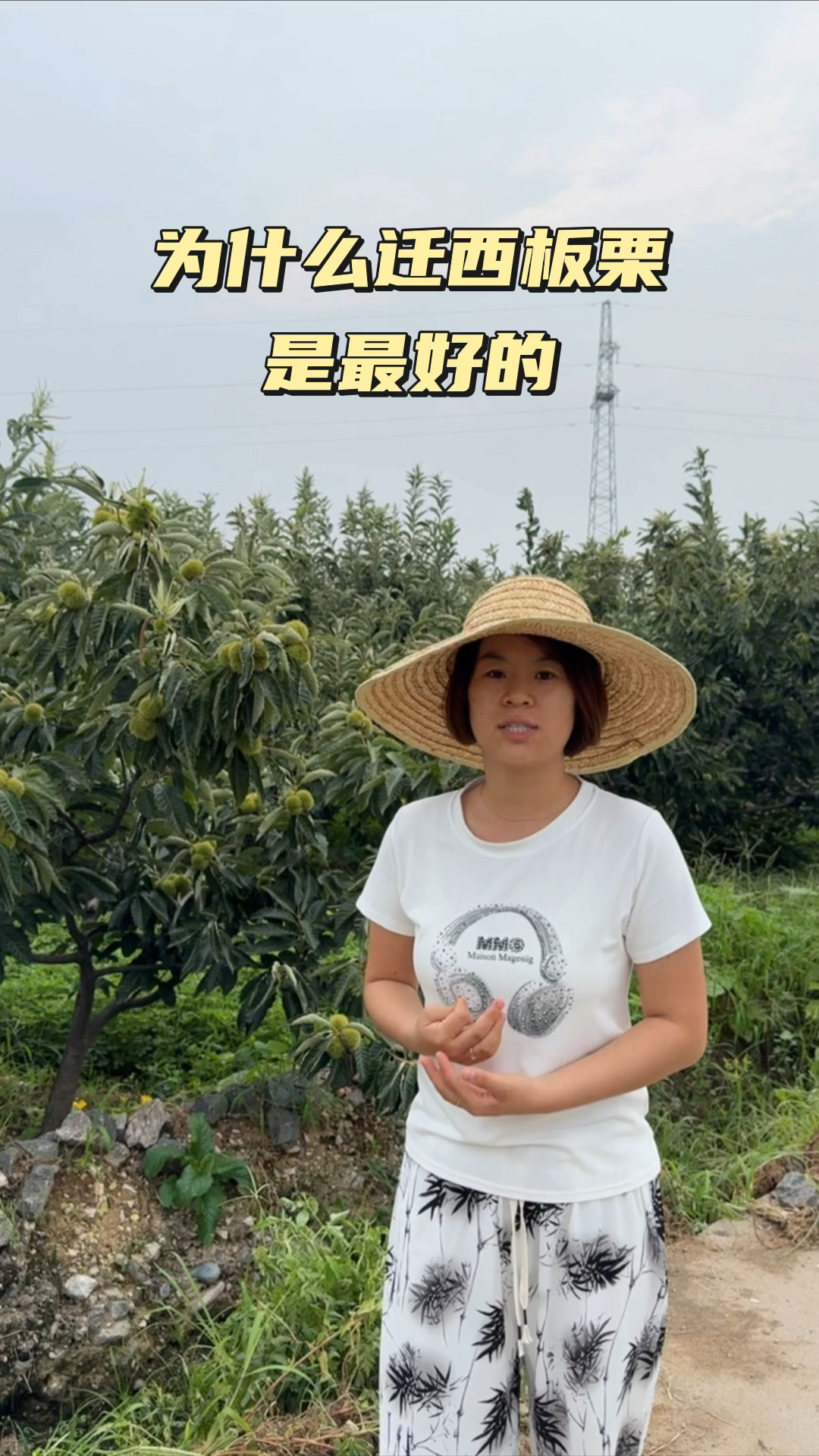 为什么迁西板栗 是天花板!
