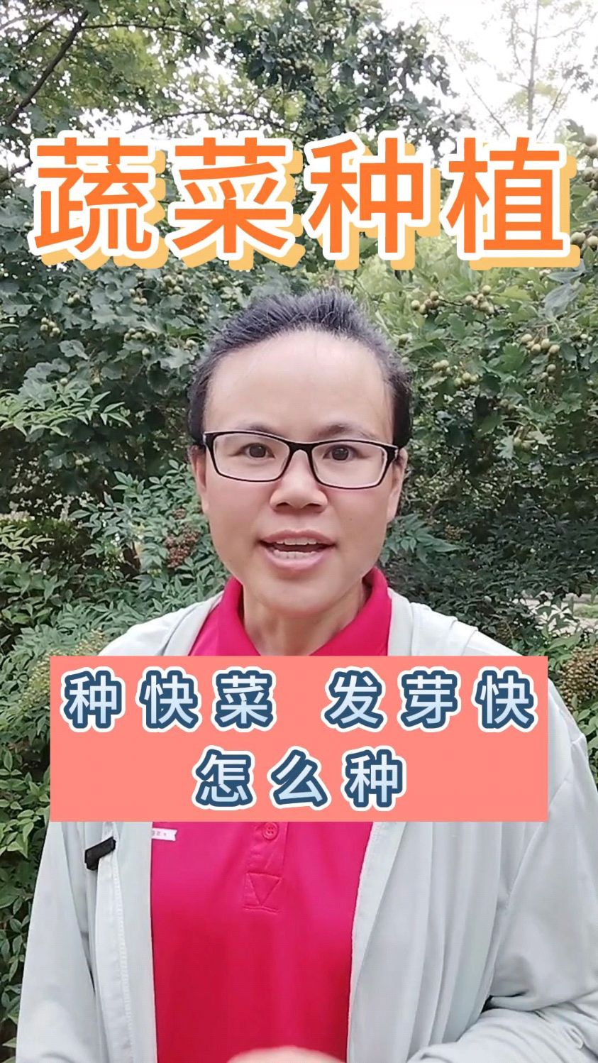 蔬菜种植怎样种快菜,发芽快,20天就可以吃到新鲜的蔬菜#支持三农