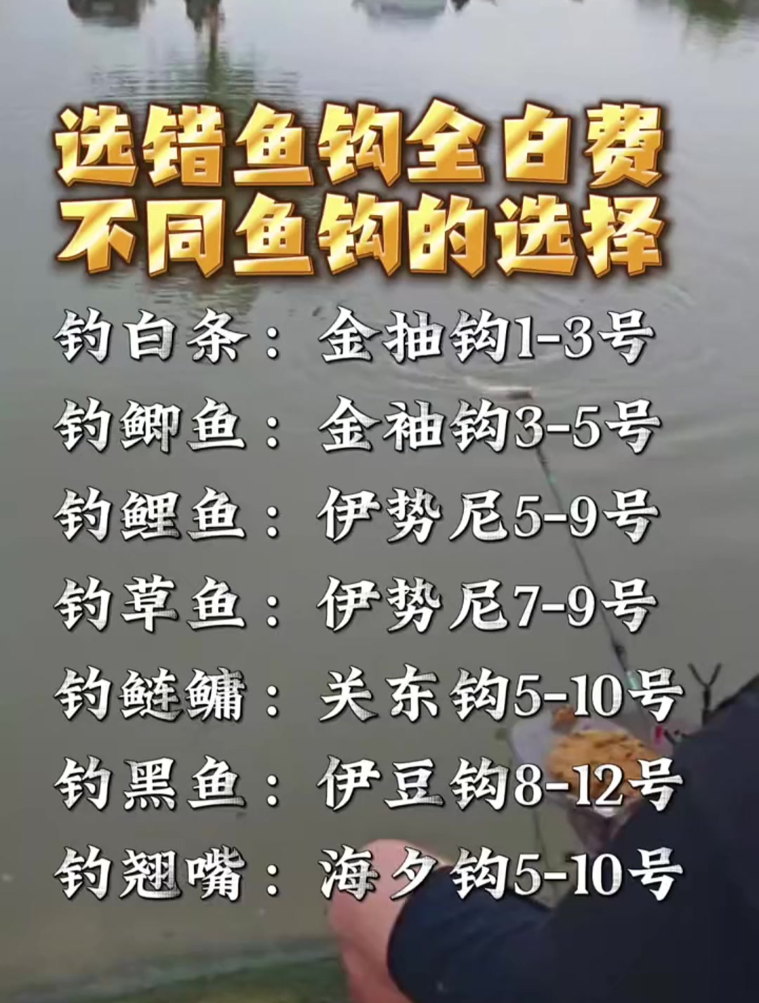 钓鱼鱼钩选择技巧,只要选错全白费!