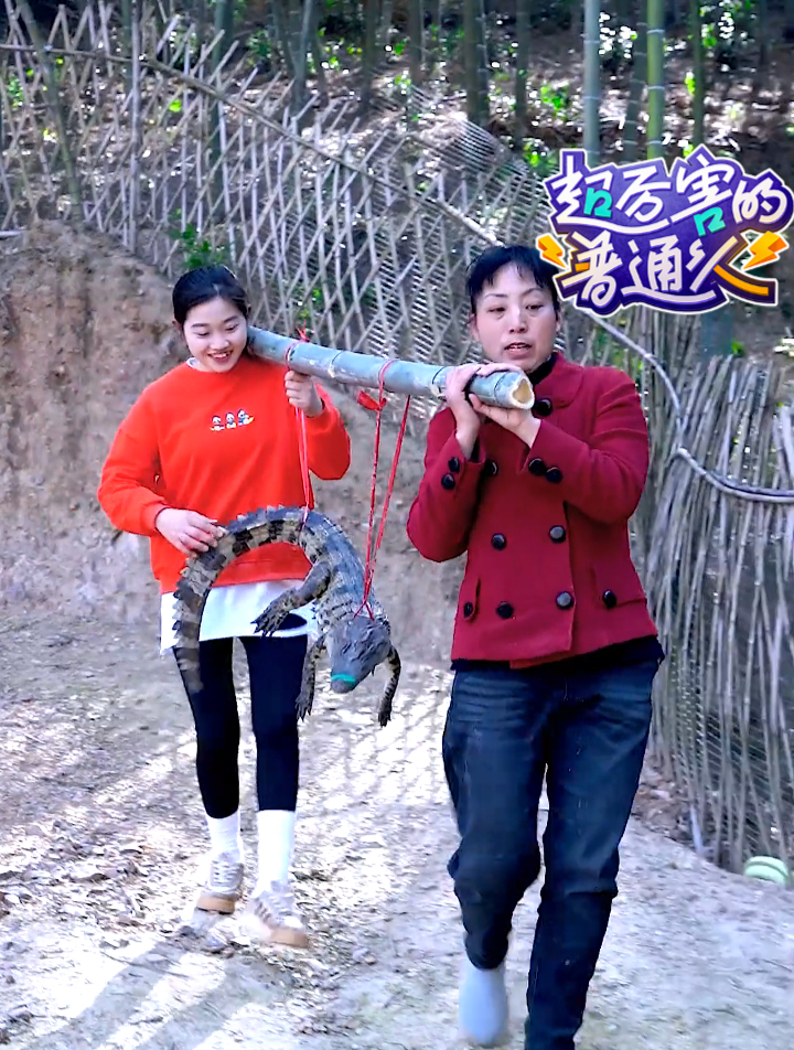 没想到人工养殖的鳄鱼这样做,外焦里口感细腻,吃起来太好吃啦