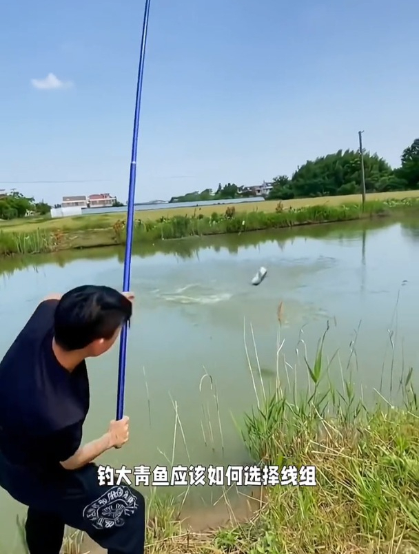 钓大青鱼怎么选线组?无铅主线组和普通线组有什么区别?