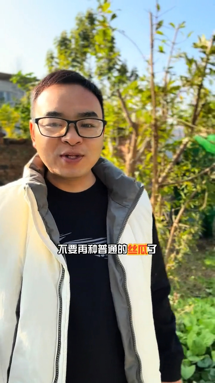 苹果,丝瓜,南方秋波可以种植,结果多,结果大,皮薄,肉厚,营养高清炒。炖汤都可以