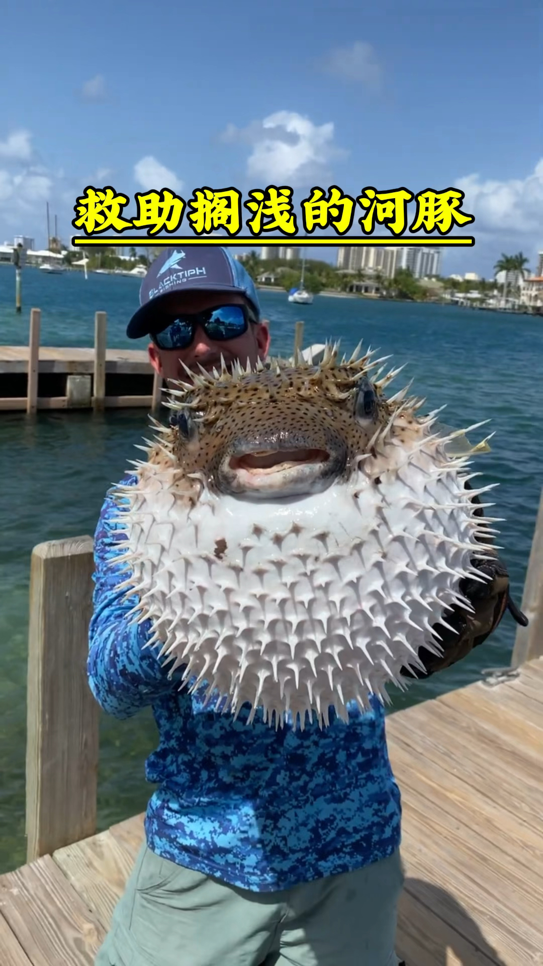 救助搁浅的河豚鱼