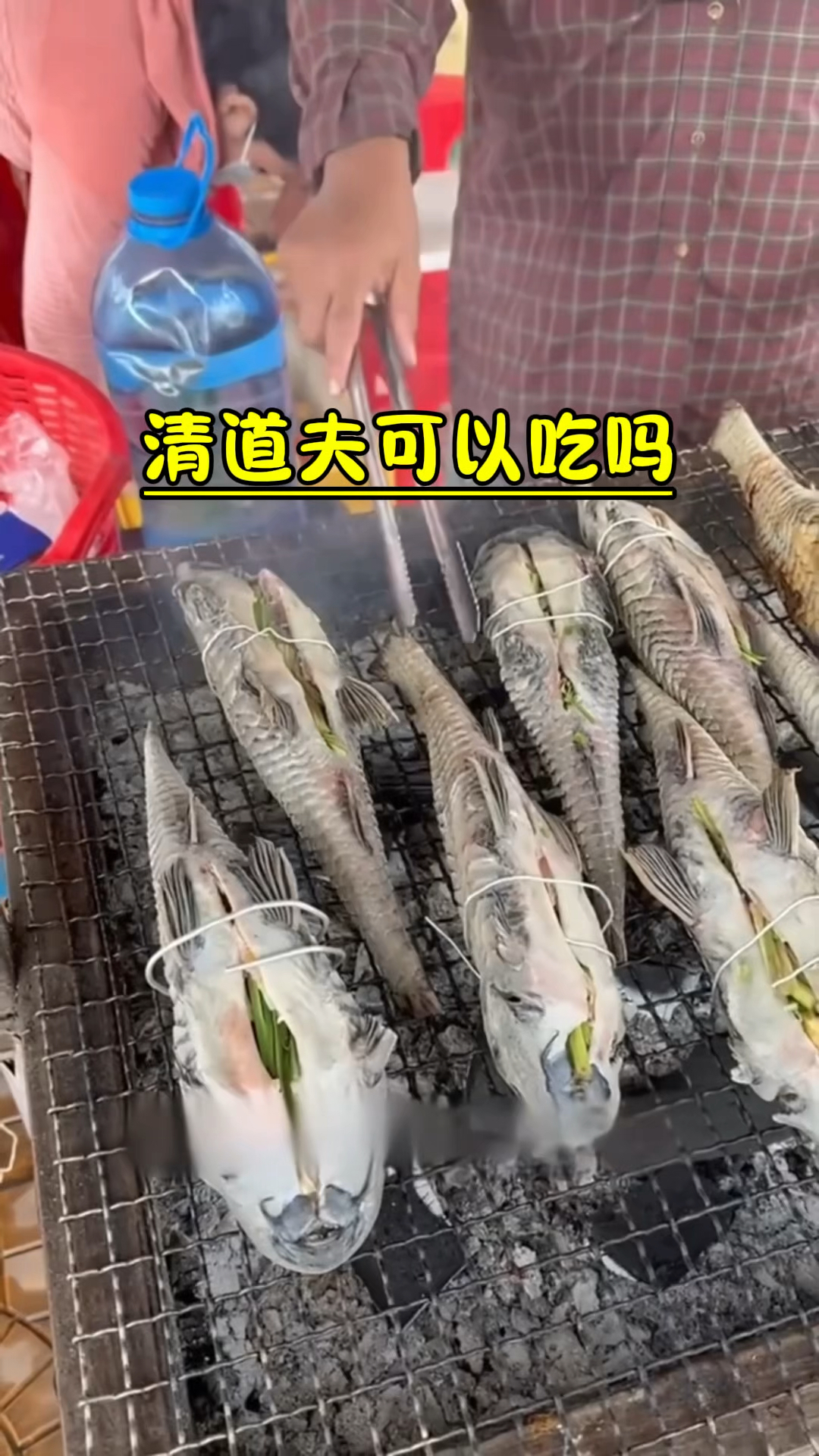 清道夫鱼可以食用吗