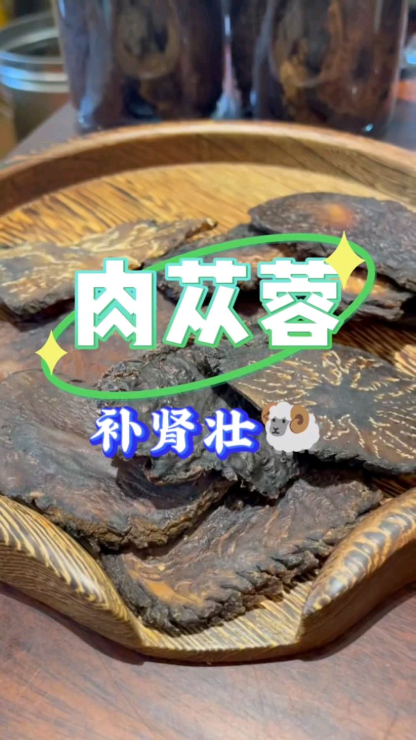 肉苁蓉 俗称“沙漠人参”