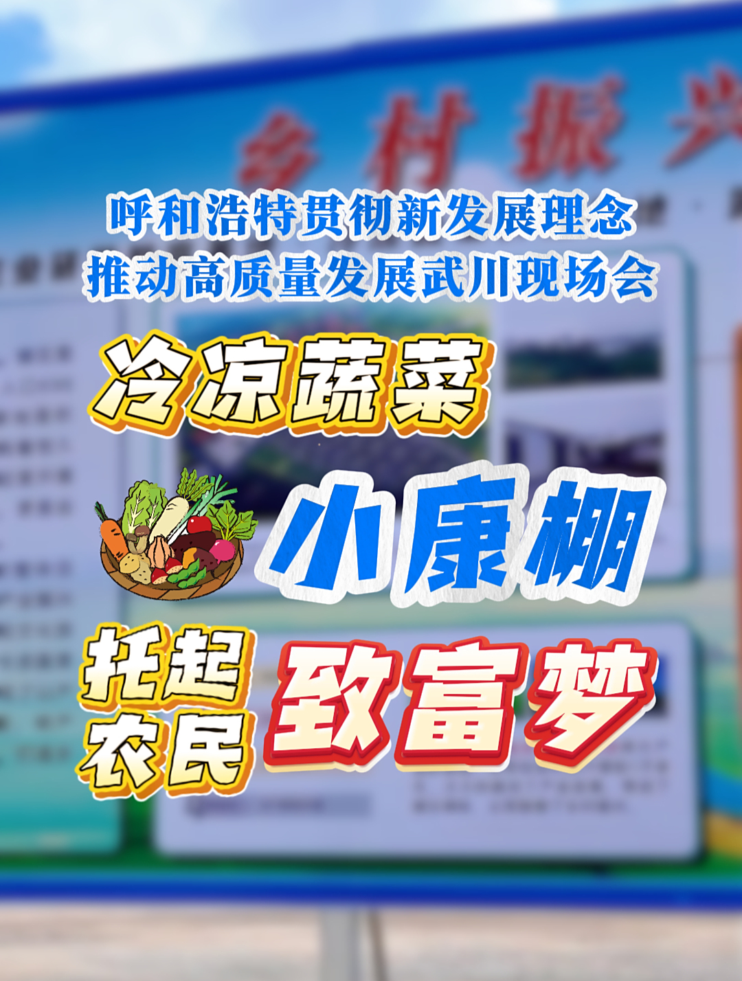 武川县冷凉蔬菜托起农民致富梦