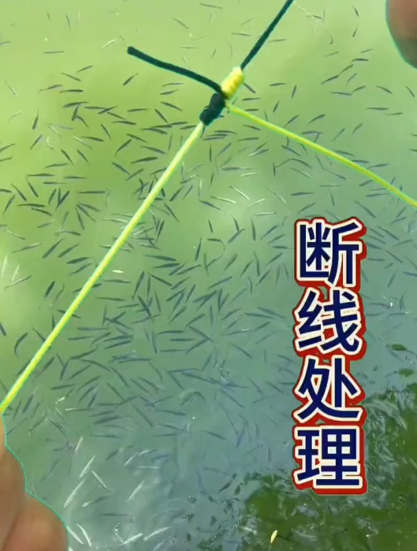 钓鱼主线断线如何连接?老钓友现场演示!