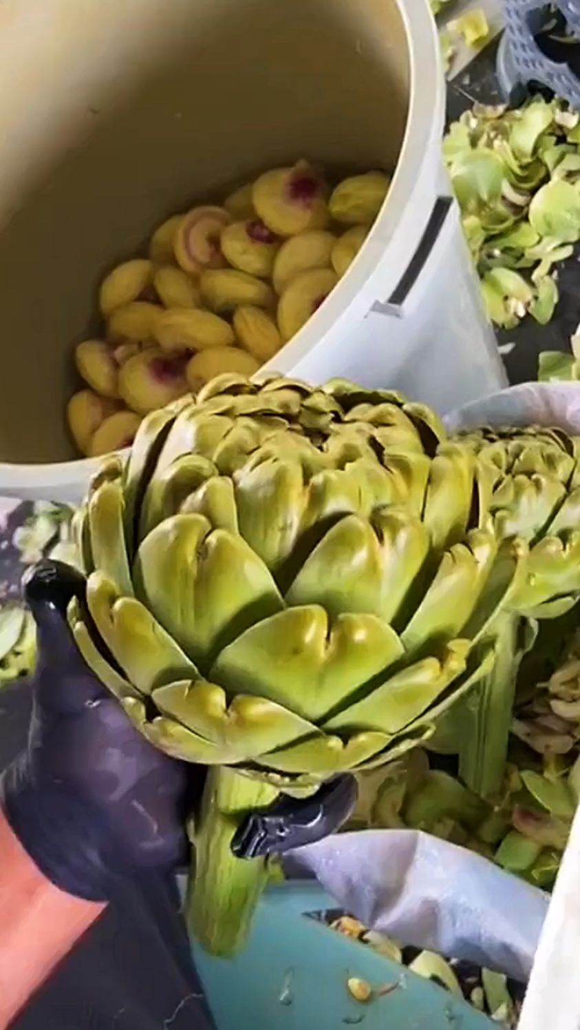 这菜长的像朵花似的,就是能吃的地方太少了。