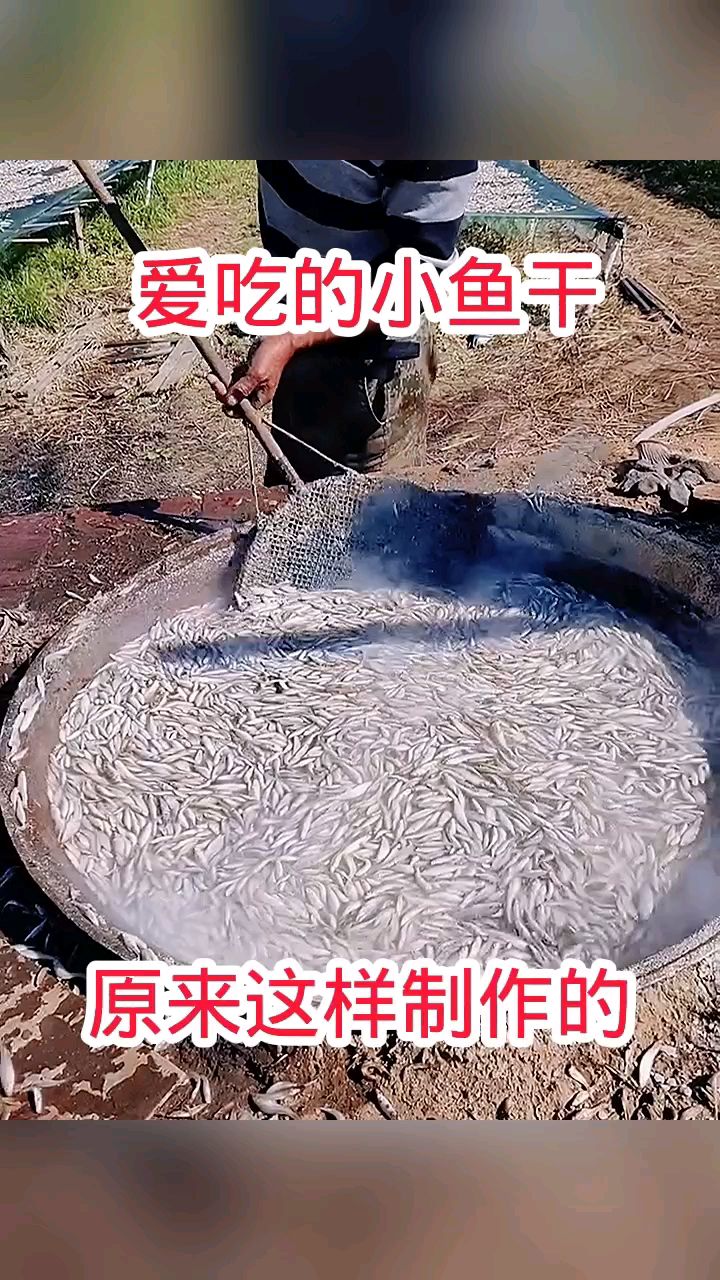 爱吃的小鱼干,原来这样制作的!