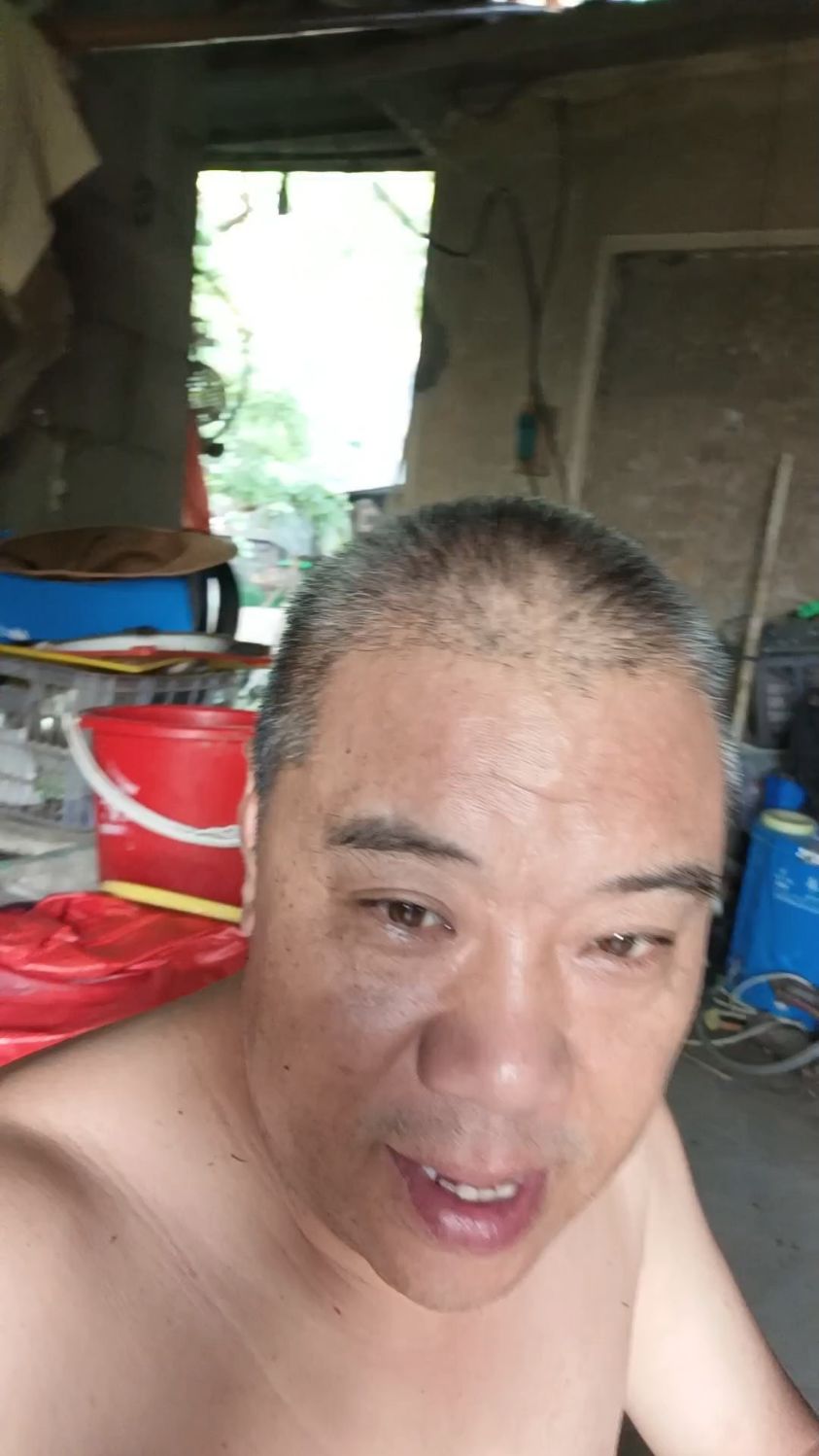 母兔司喂过程中经常遇到的问题,怎么解决