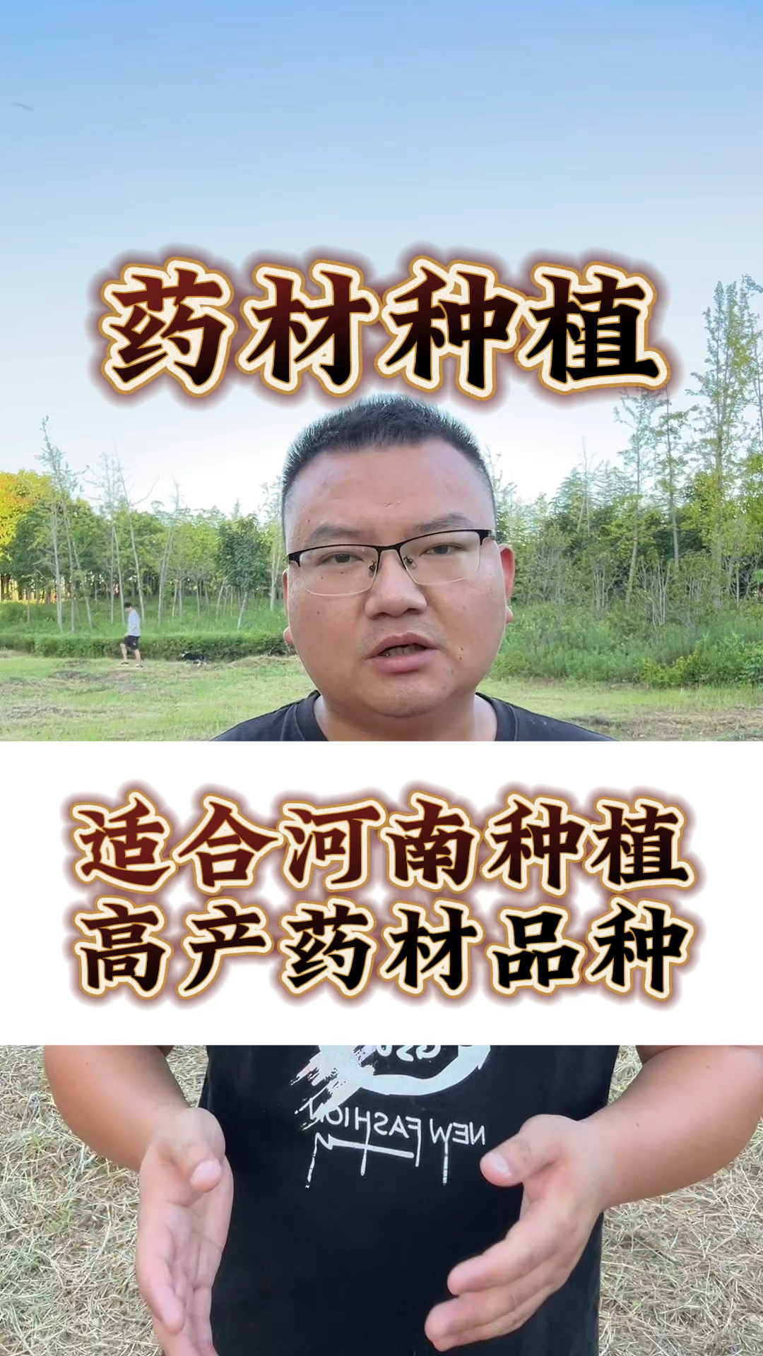 适合河南种植的药材