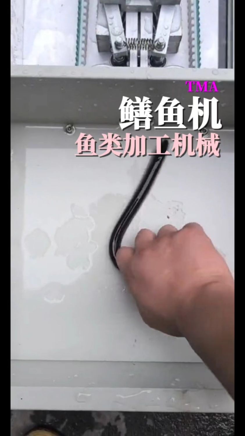 鳝鱼机#鳝鱼机 #视频机械 #工具机械自动化