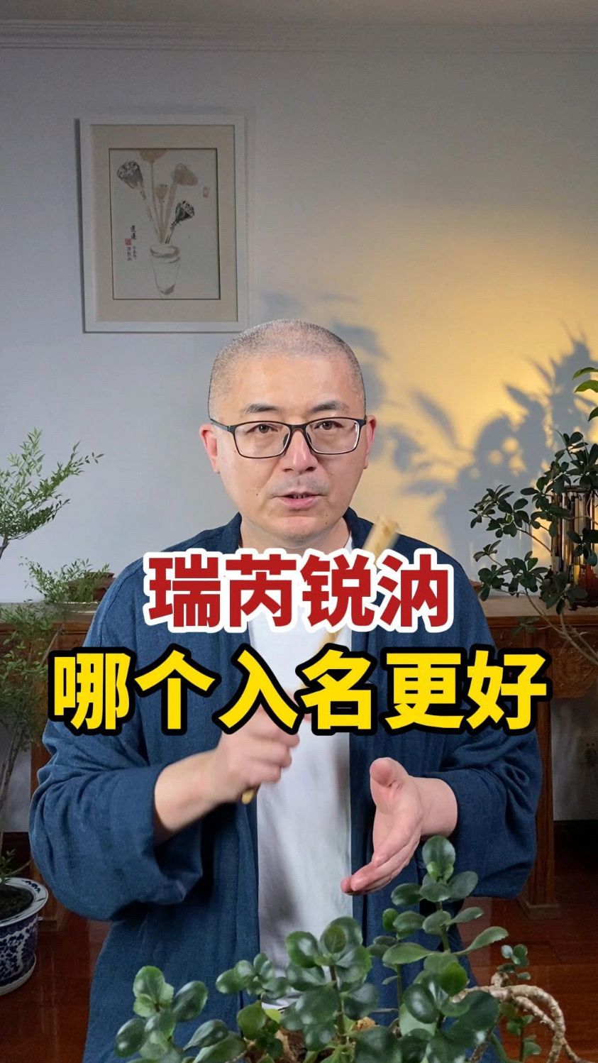 这四个字,哪个入名更好。#宝宝起名 #宝宝名字 #国学起名