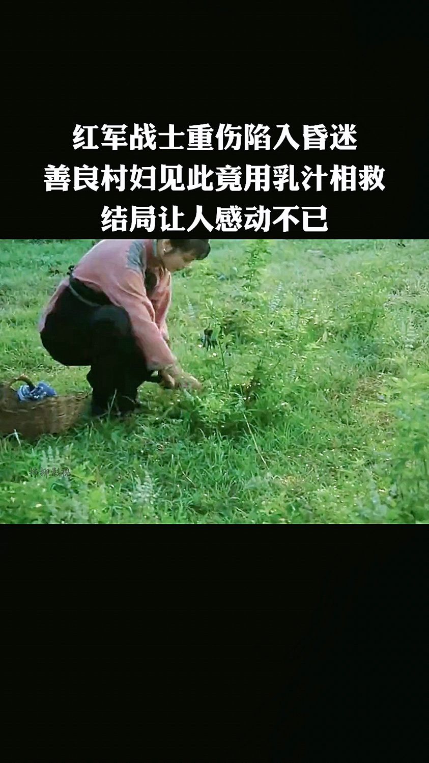 红军战士重伤陷入昏迷,漂亮村妇见此用乳汁相救!