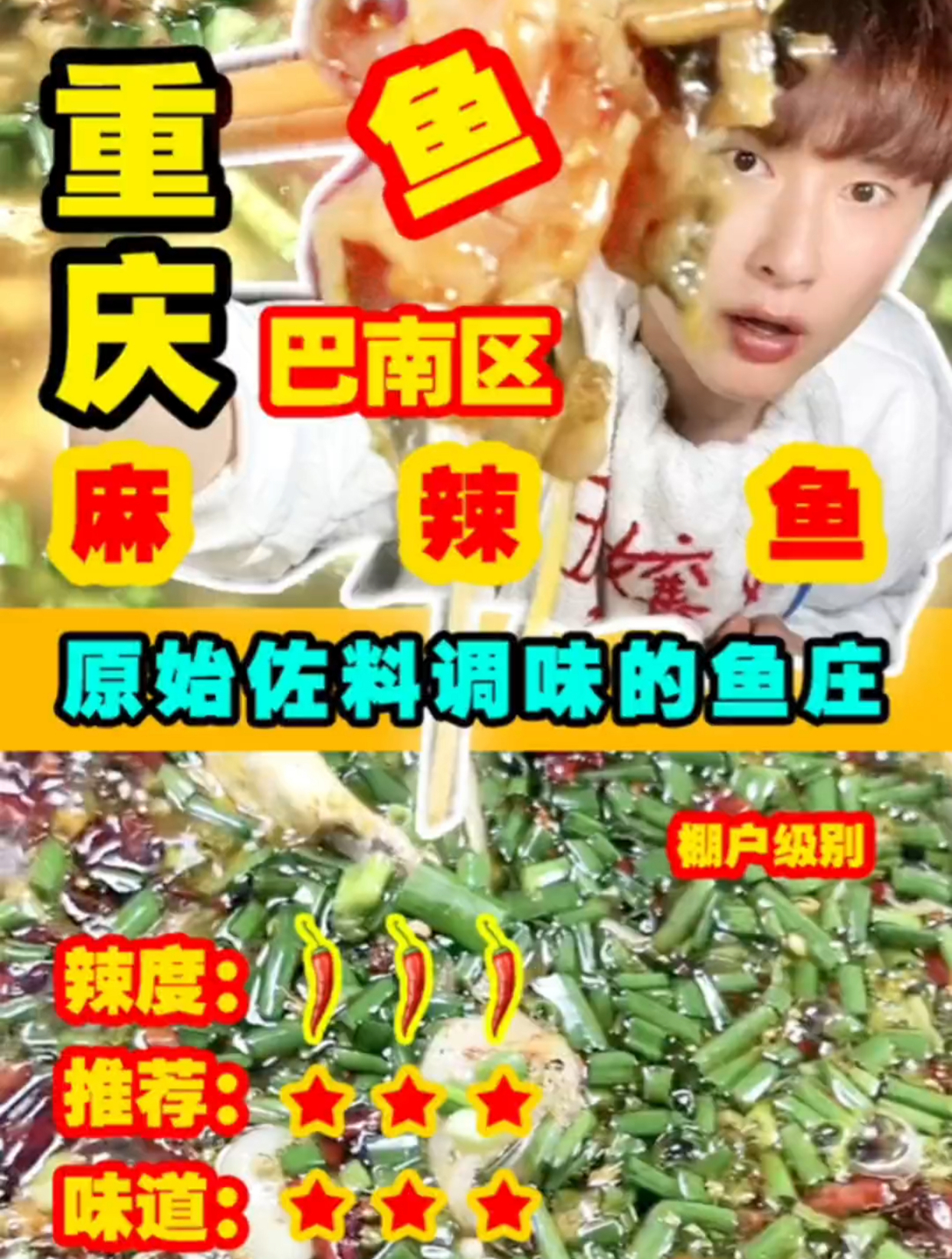 重庆巴南麻辣鱼,个人觉得味道普通