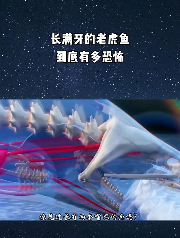 长满牙的老虎鱼,到底有多恐怖