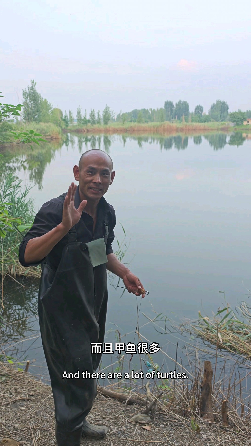 户外野钓甲鱼技巧