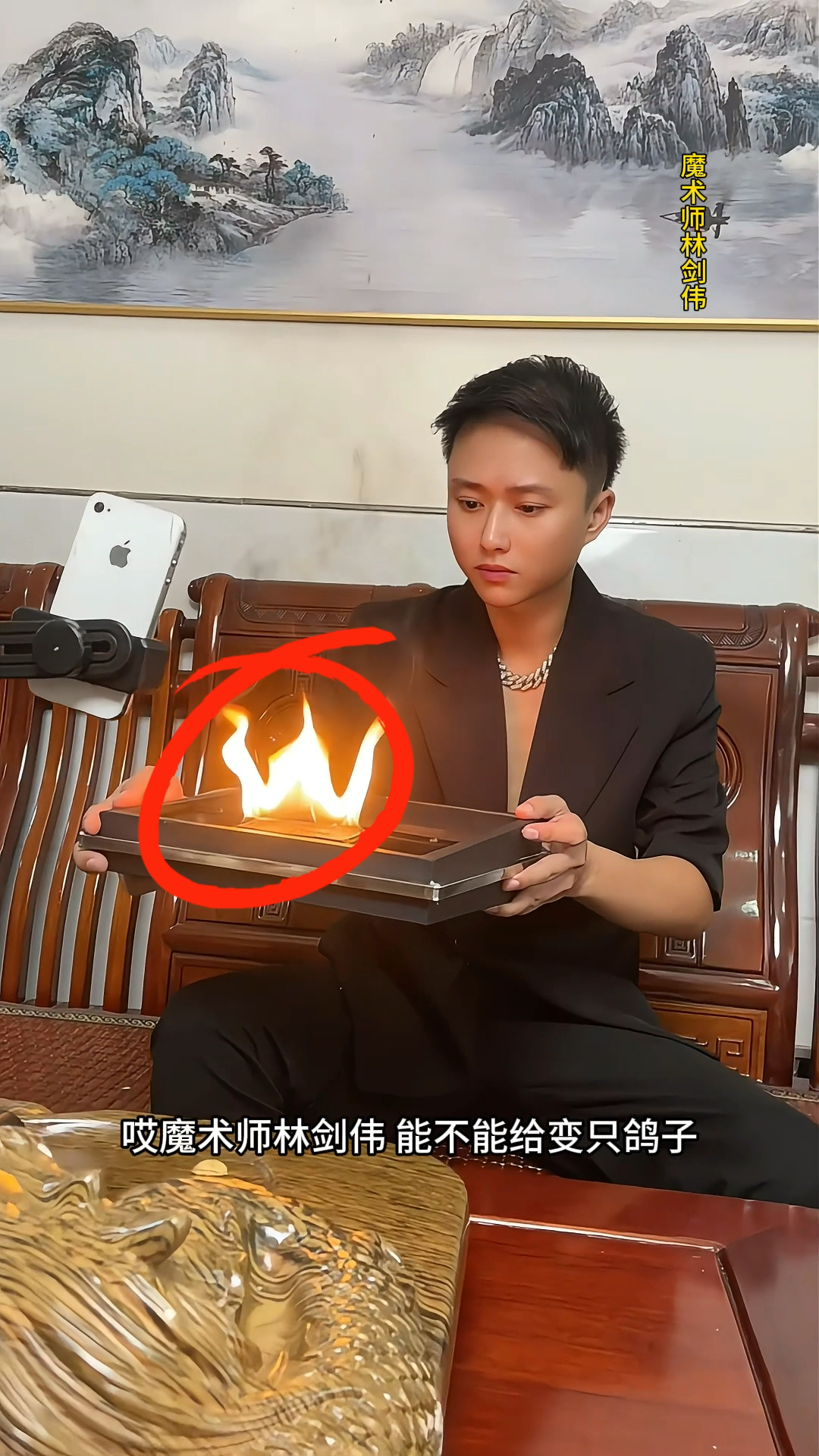 火焰变鸽子魔术,了解一下!