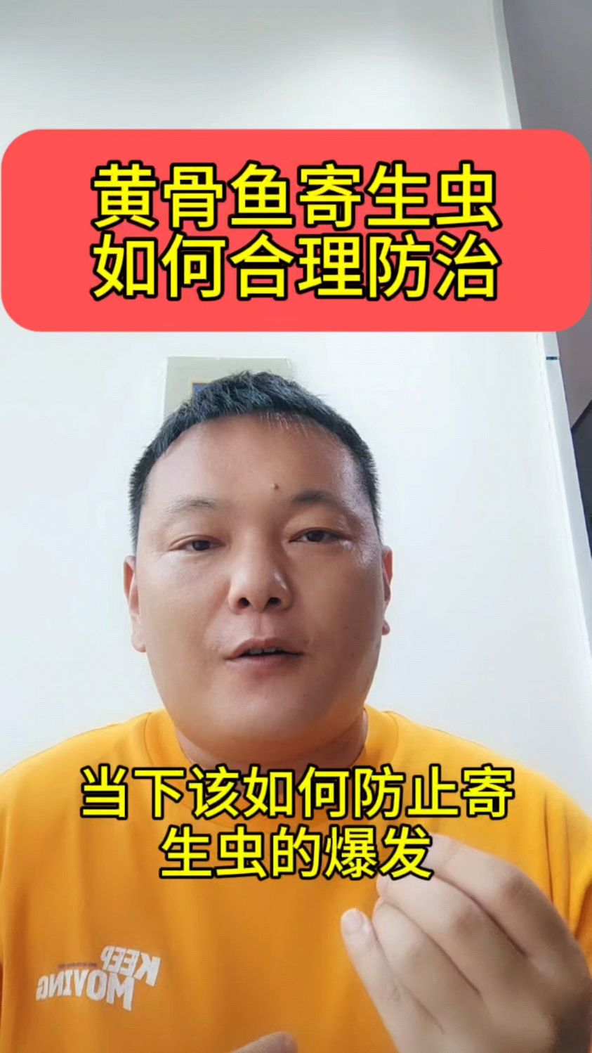 黄骨鱼寄生虫如何合理防治