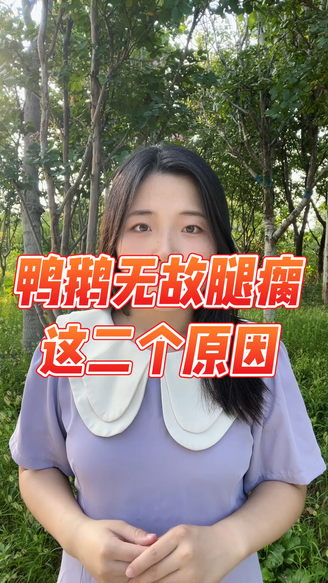 鸭鹅无缘无故腿瘸2个原因