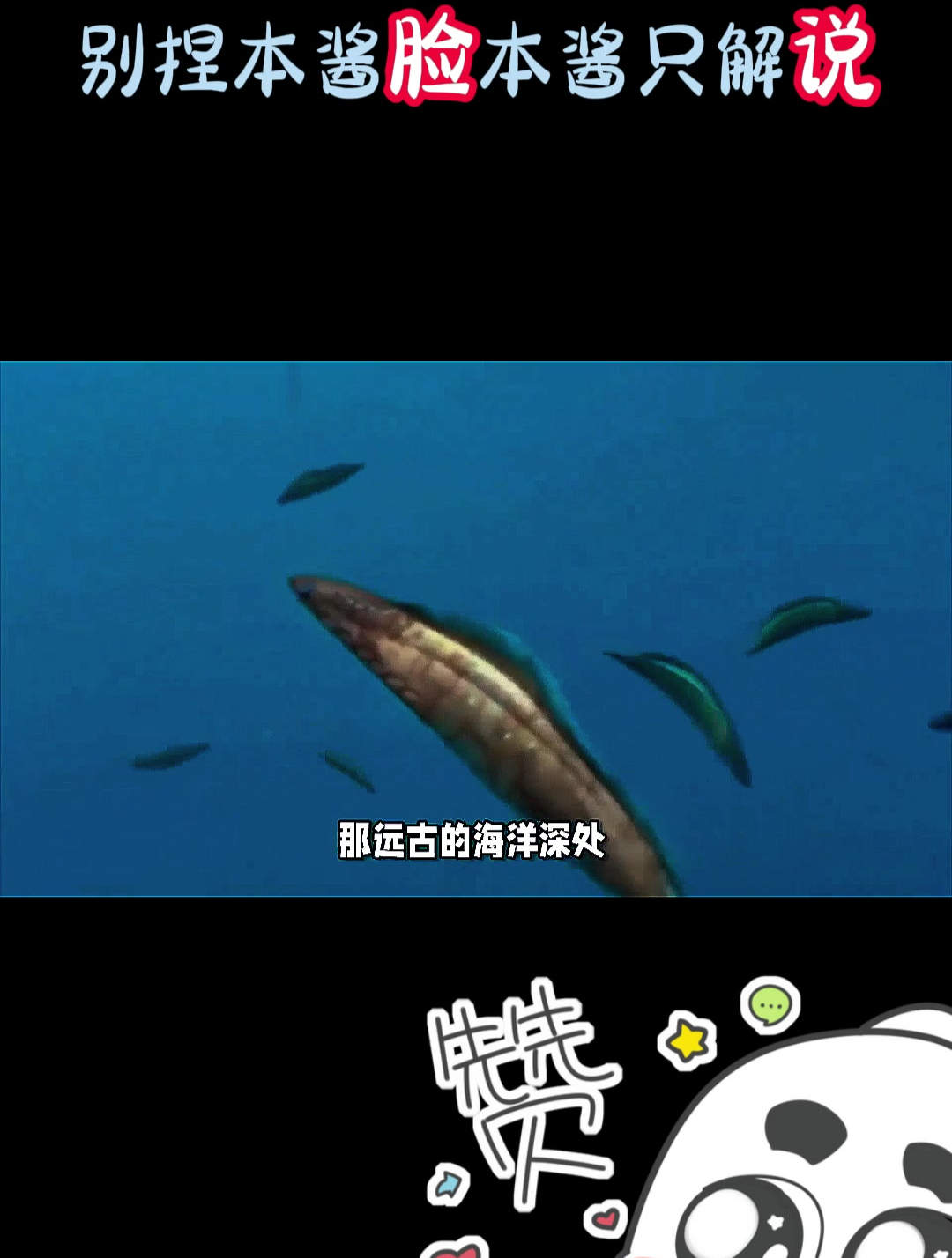 人类从鱼类到人类的进化过程,历经多少亿年沧海桑田,你相信多少