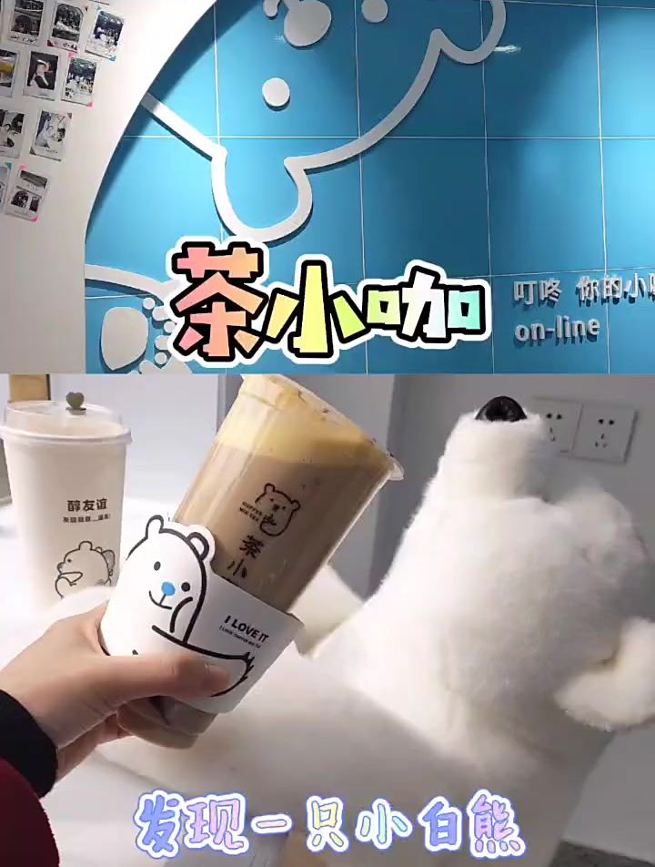 和一只小白熊一起喝茶吧,吃喝玩乐在上海
