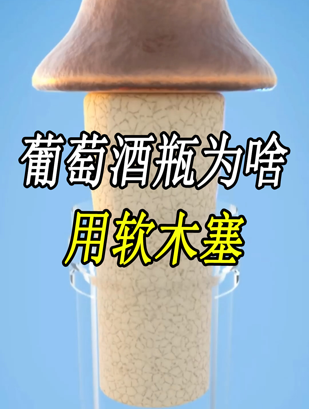 为什么葡萄酒瓶要使用软木塞来密封?葡萄酒的特色风味怎么来的?