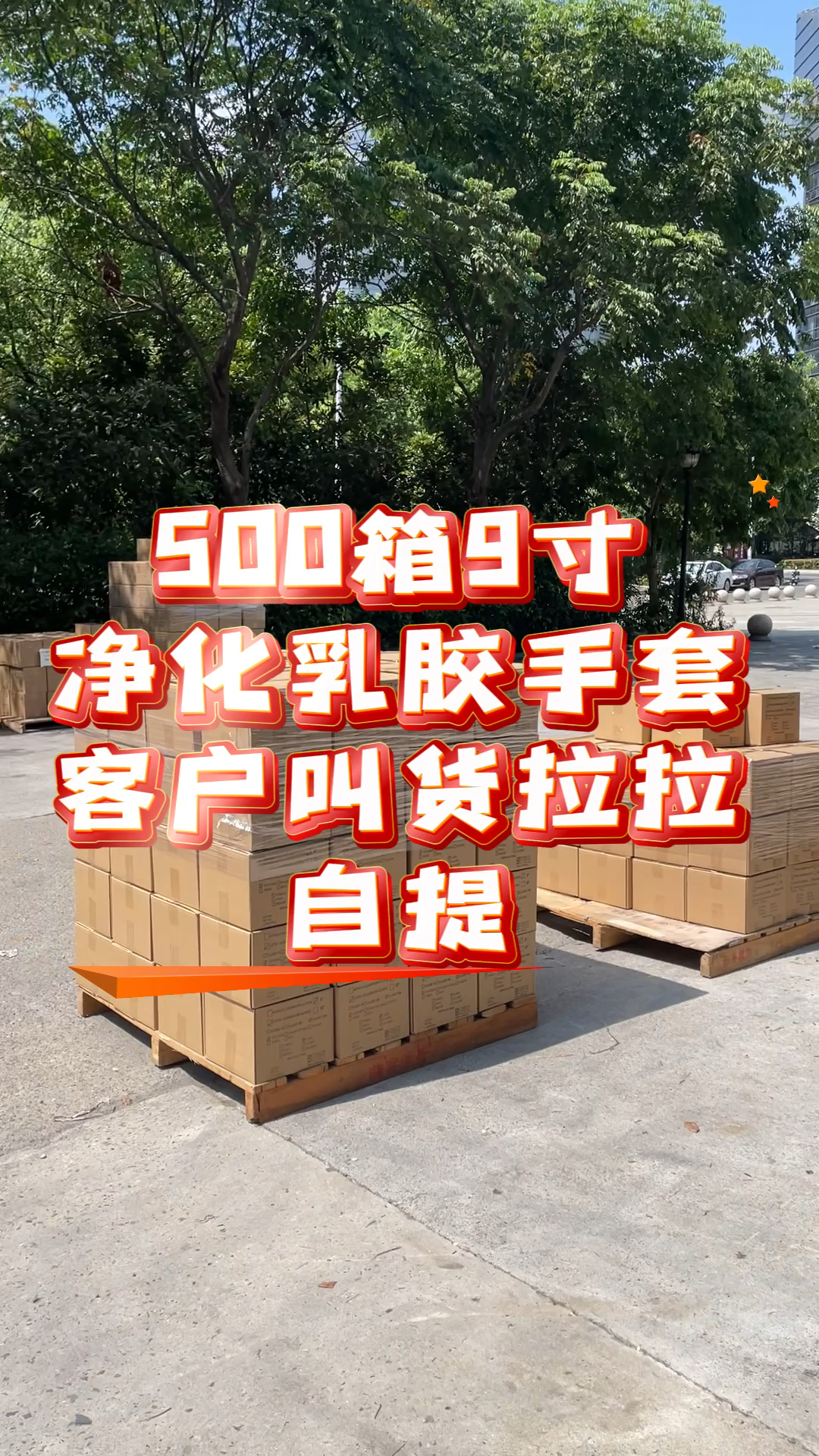 500箱9寸净化乳胶手套客户叫货拉拉自提#一次性手套 #专业生产厂