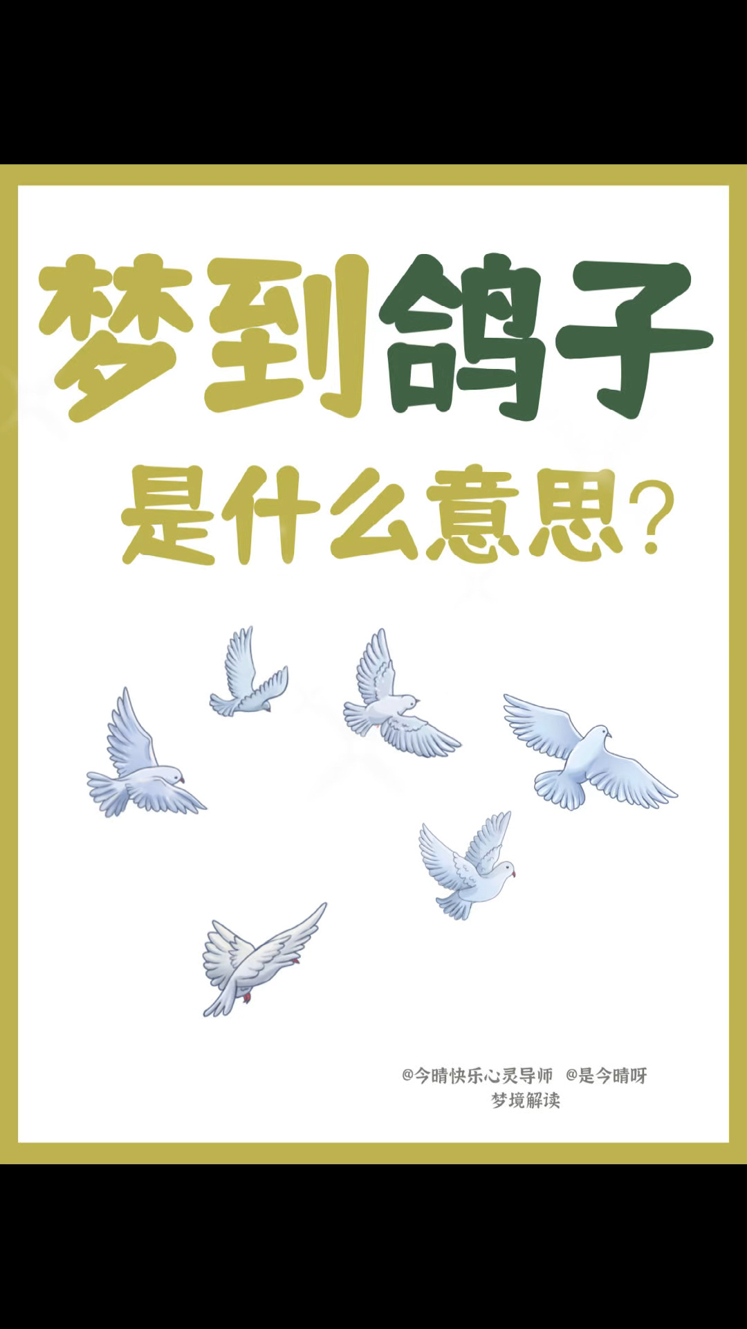 梦见鸽子是什么预兆?暗示什么呢?