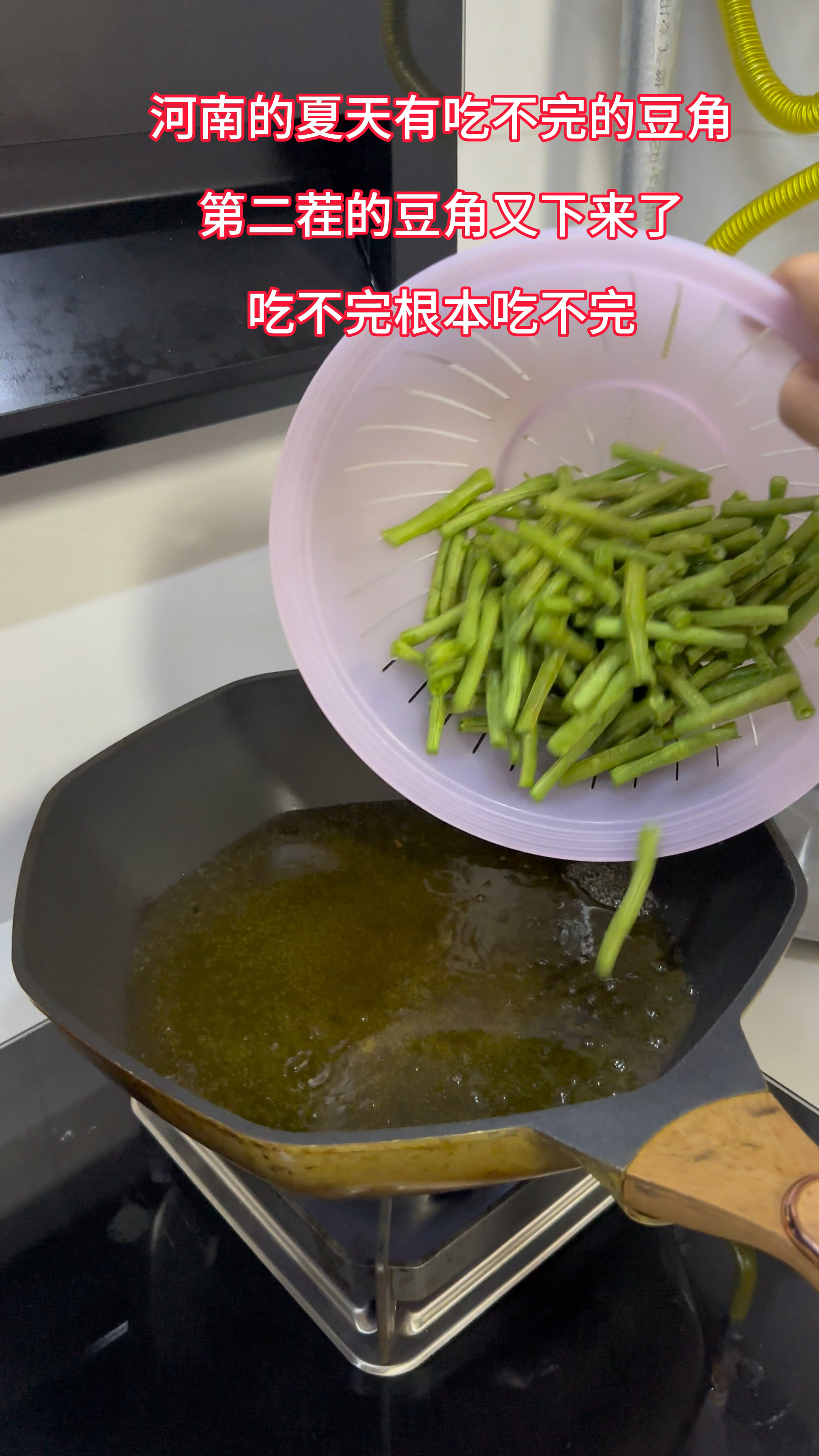 河南夏天有吃不完的豆角,今天做个干煸豆角,麻辣干香,清脆爽口