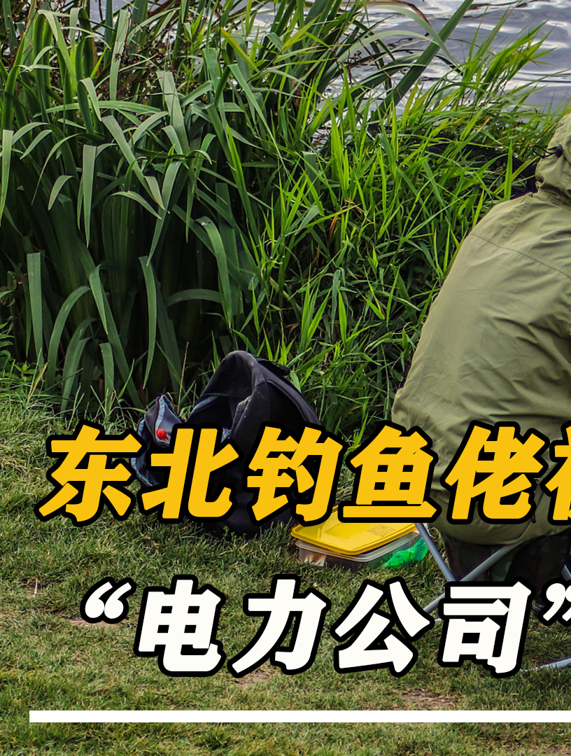判了判了!东北钓鱼佬触碰高压线当场烧焦,“电力公司”赔68万
