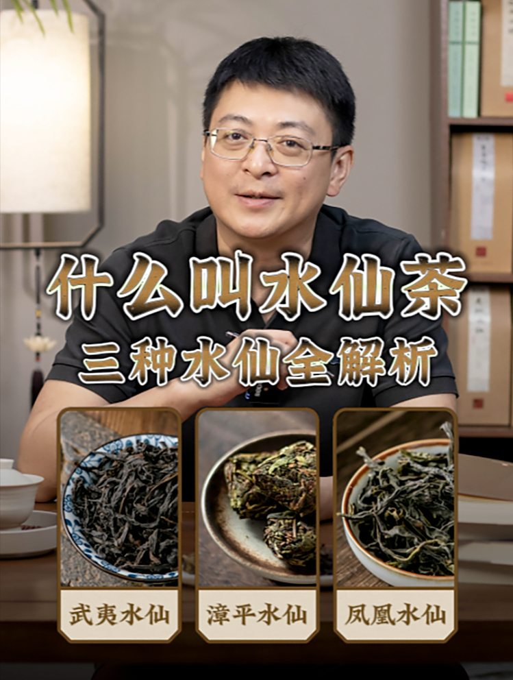 什么叫水仙茶|乌龙茶里的三种水仙有啥区别?