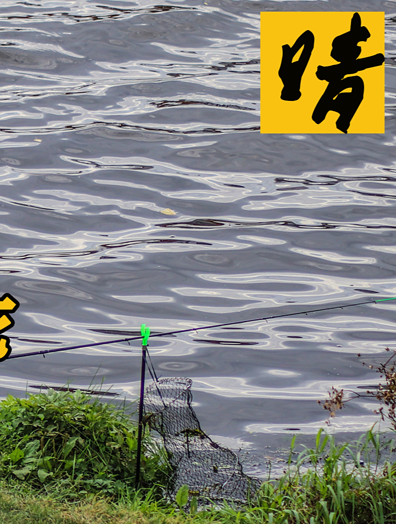 判了判了!东北钓鱼佬触碰高压线当场烧焦,“电力公司”赔68万