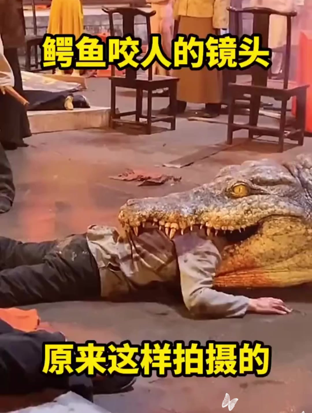 鳄鱼咬人的镜头拍摄