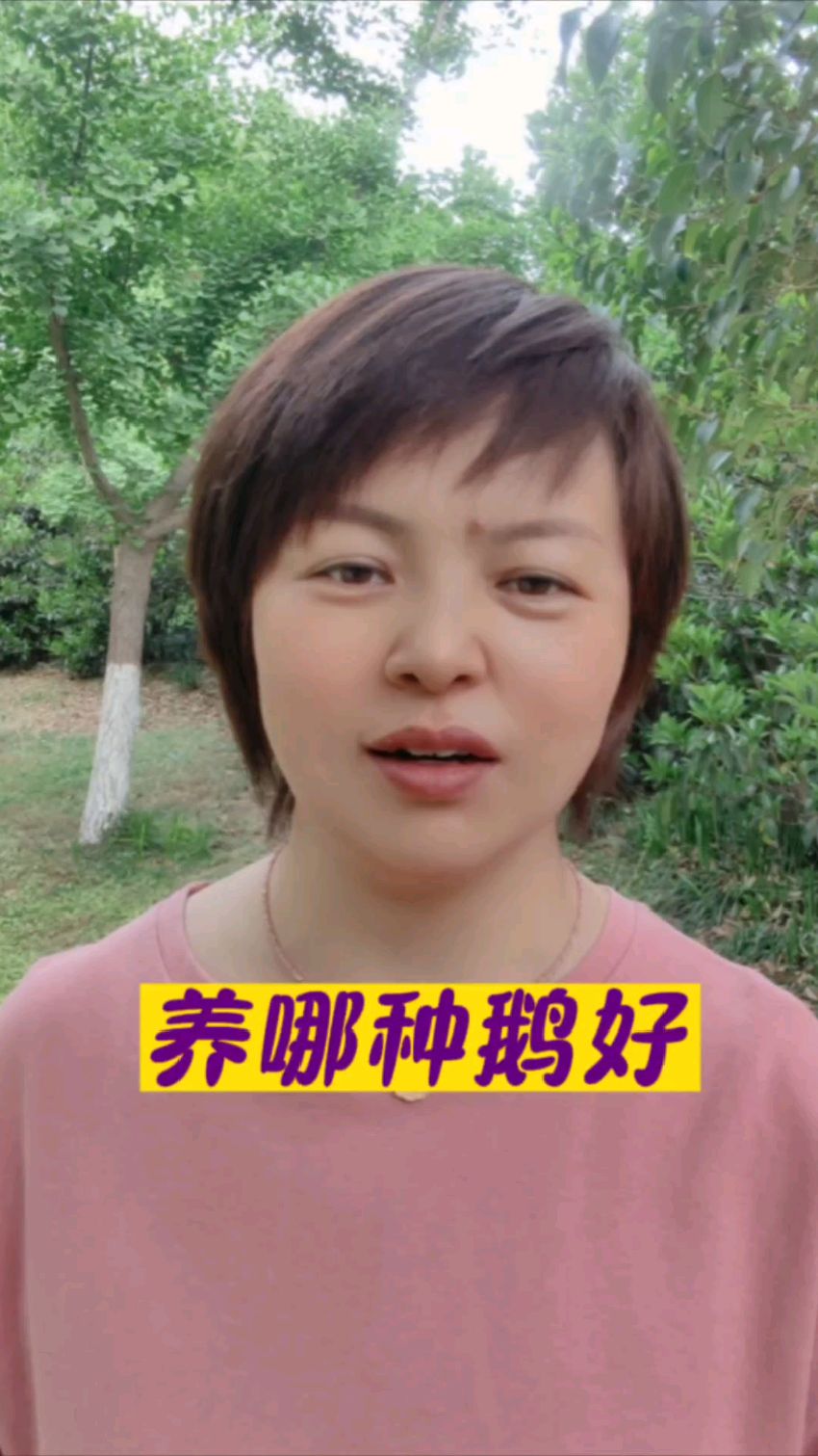 #哪种鹅好养#养鹅人必看