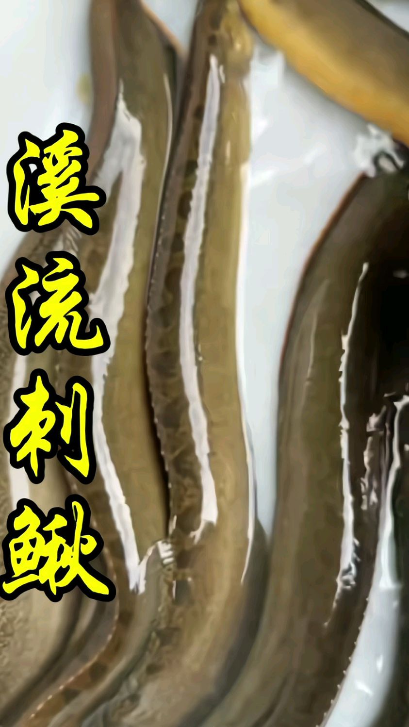 客家人管它叫猪麻锯,你们那里叫什么?