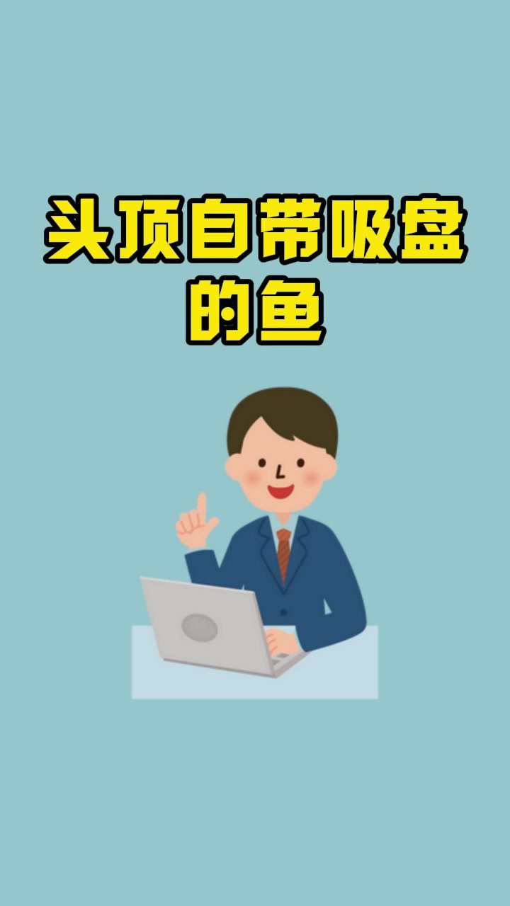 头顶自带吸盘的鱼