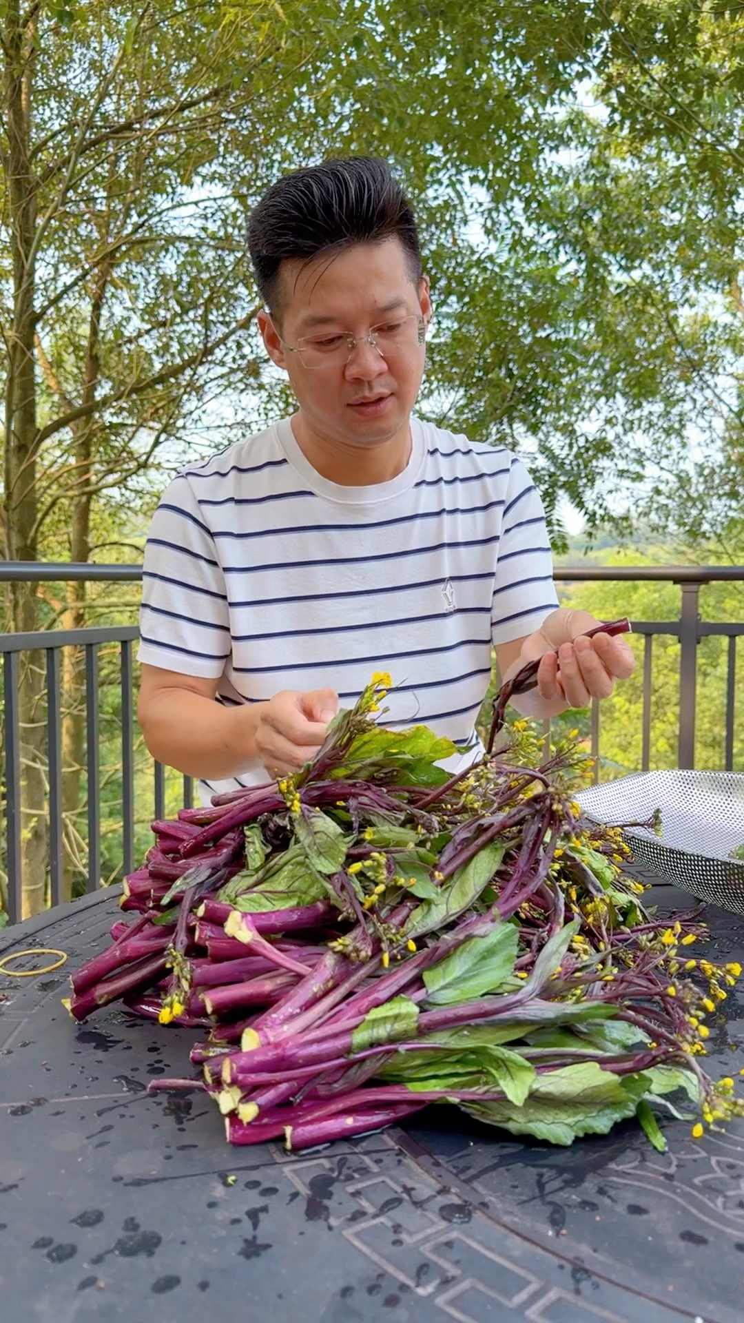 这个季节的红油菜,好吃!