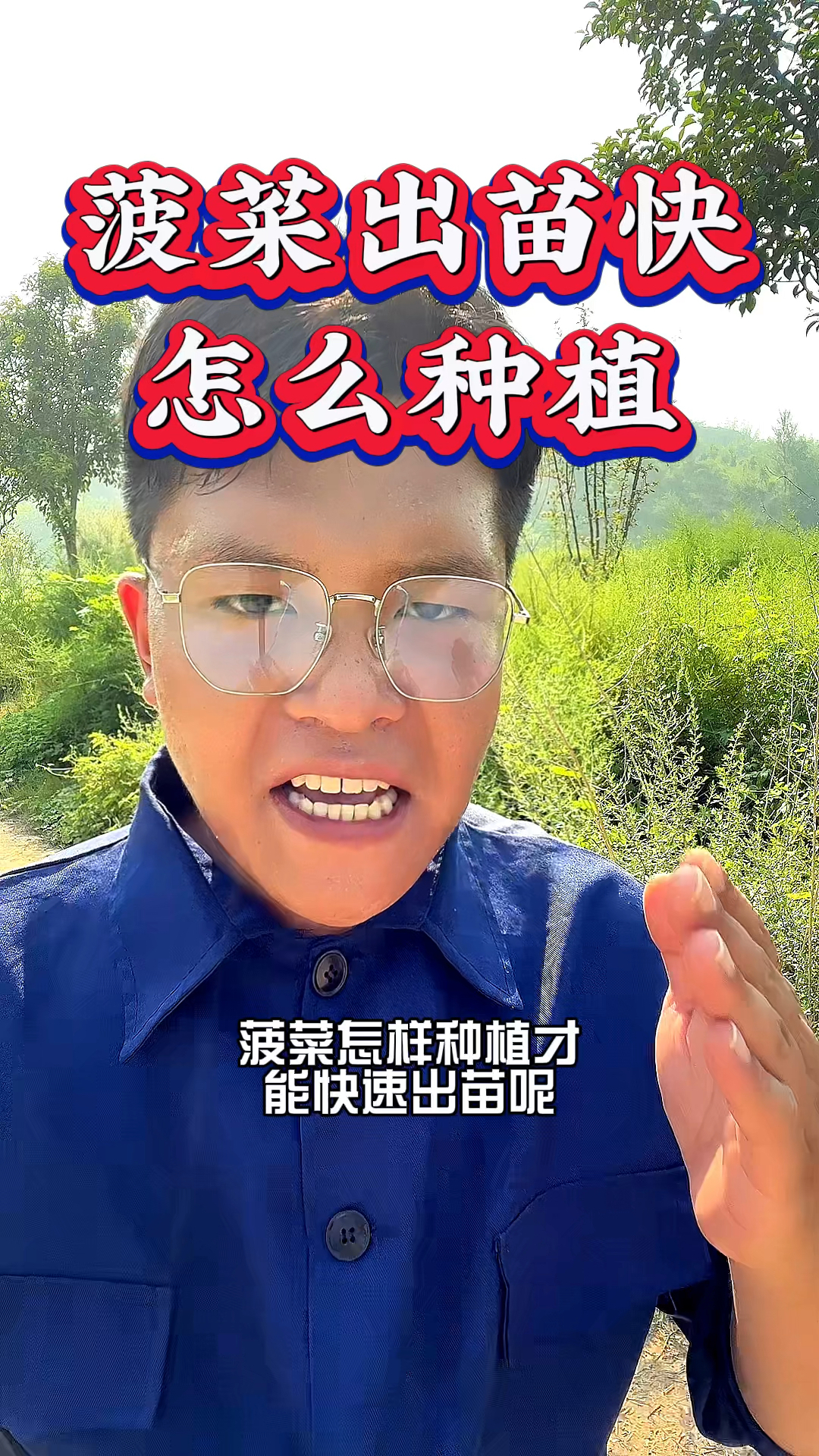 这种菠菜怎么种植才能快速出苗呢,分享菠菜种植技巧