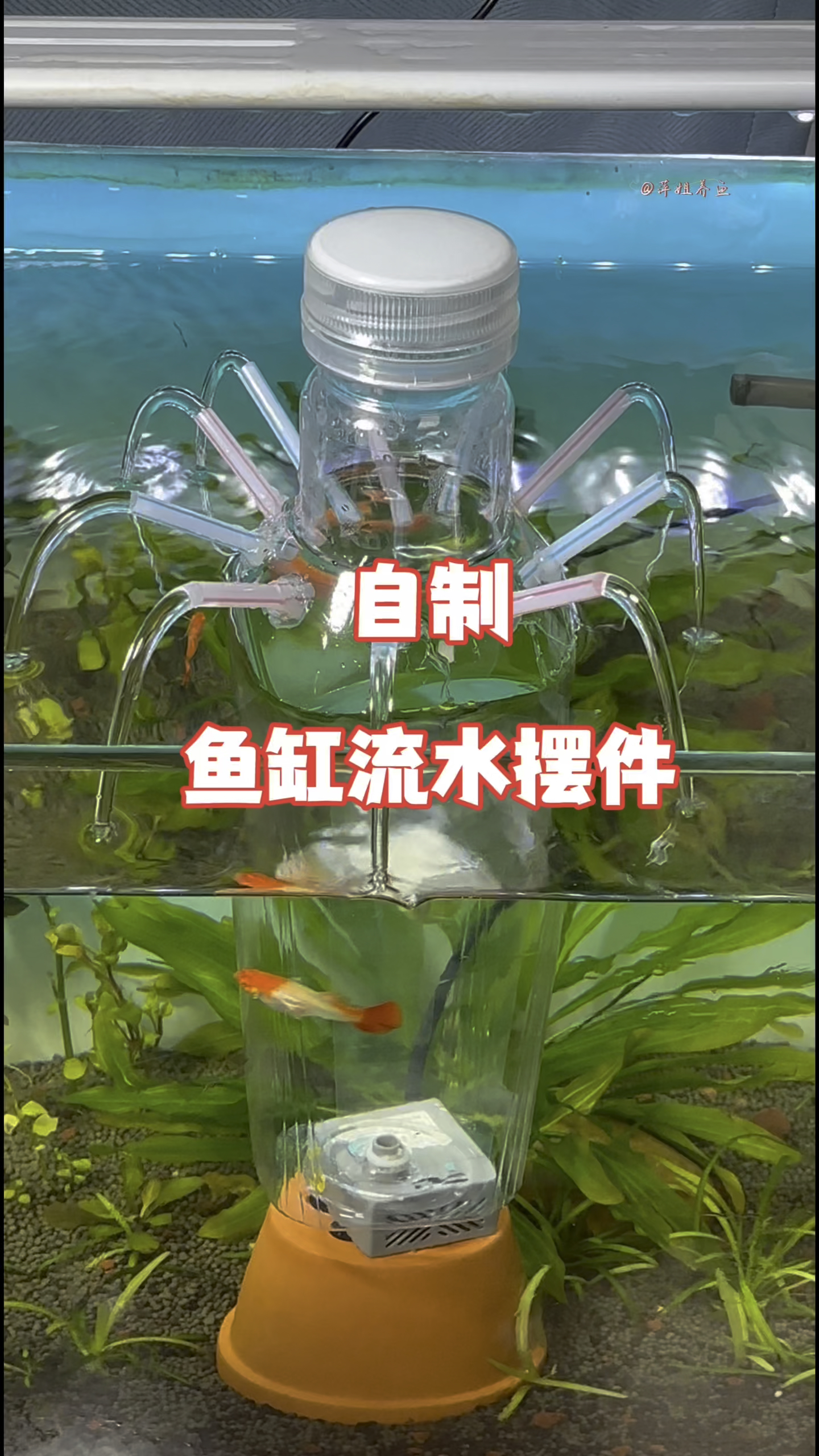 今天给大家分享一个制作特别简单的鱼缸流水摆件#养鱼日记 #手工