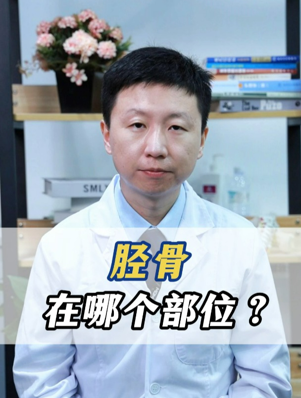 胫骨在哪个部位?