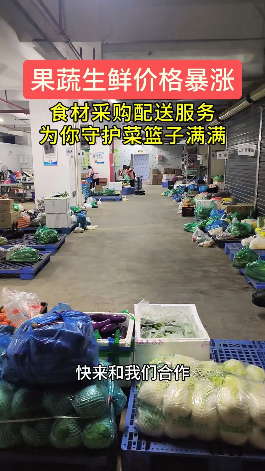 食材采购配送服务守护你的菜篮子满满