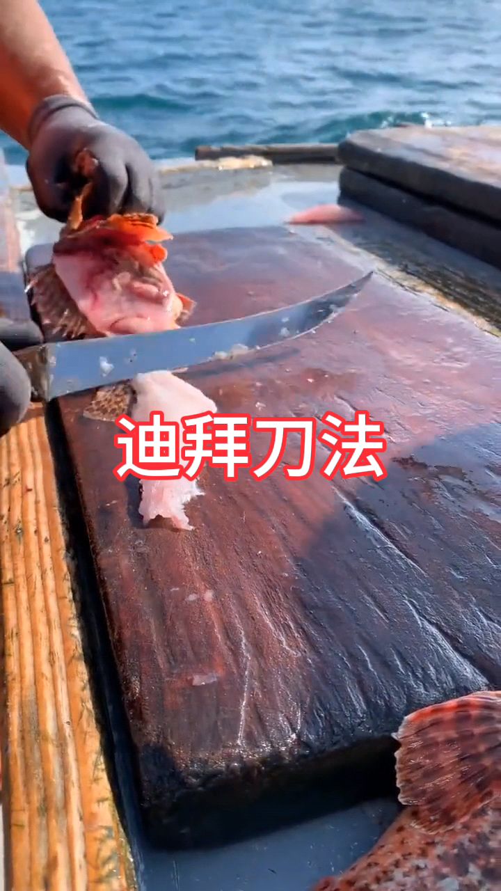 一半放生,一半刺身,石斑鱼:我就那么不值钱么,市场一斤300多么