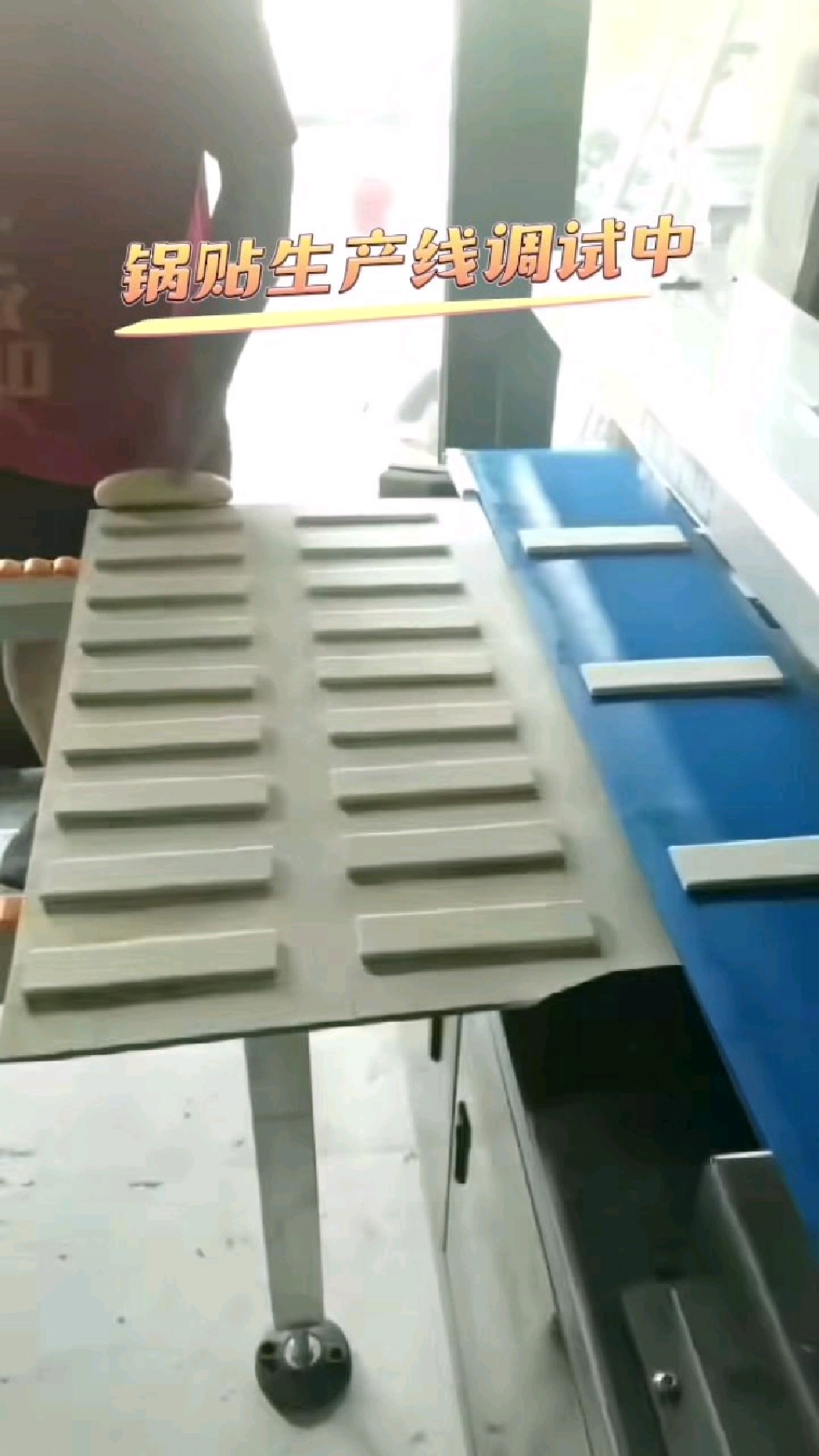 锅贴生产线调试中!
