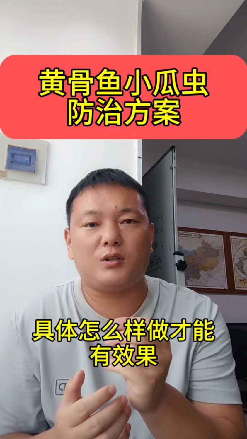 黄骨鱼小瓜虫如何防治