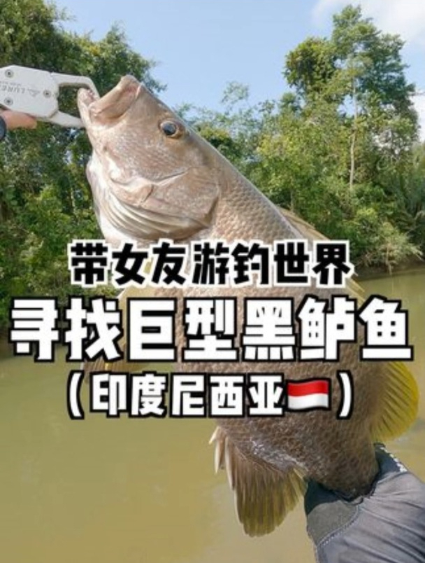 据说,这是世界上拉力最强的淡水鱼……