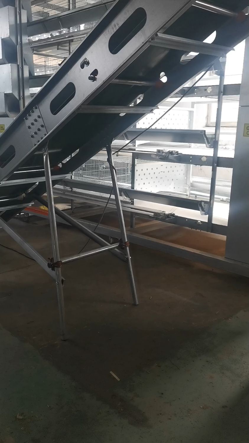 蛋鸡笼养设备,层叠式蛋鸡笼,热镀锌鸡笼,自动清粪喂料捡蛋