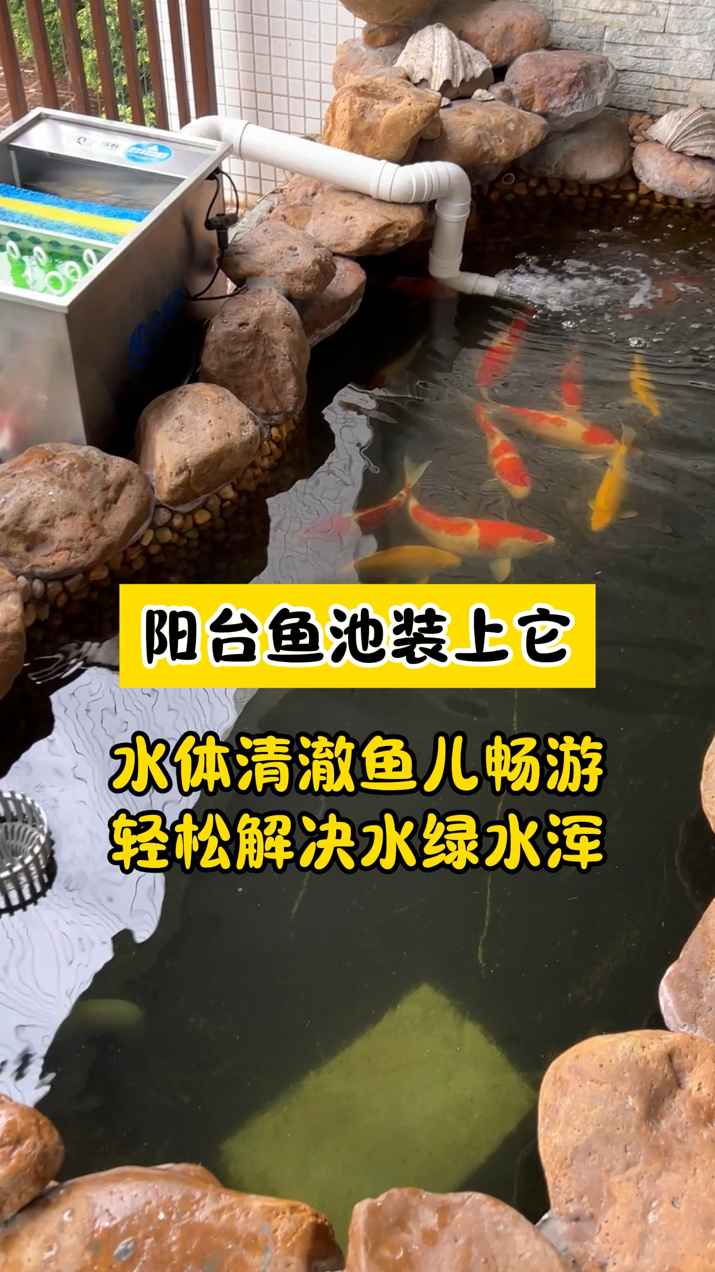 阳台鱼池不要再用小流量过滤系统了
