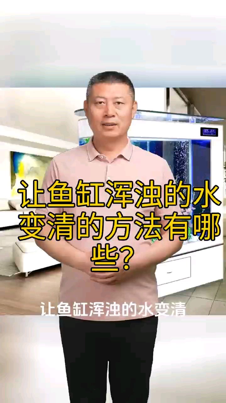 鱼缸浑浊的水变清的方法有哪些?